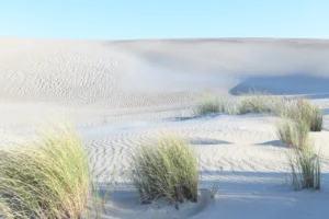 Sand dunes