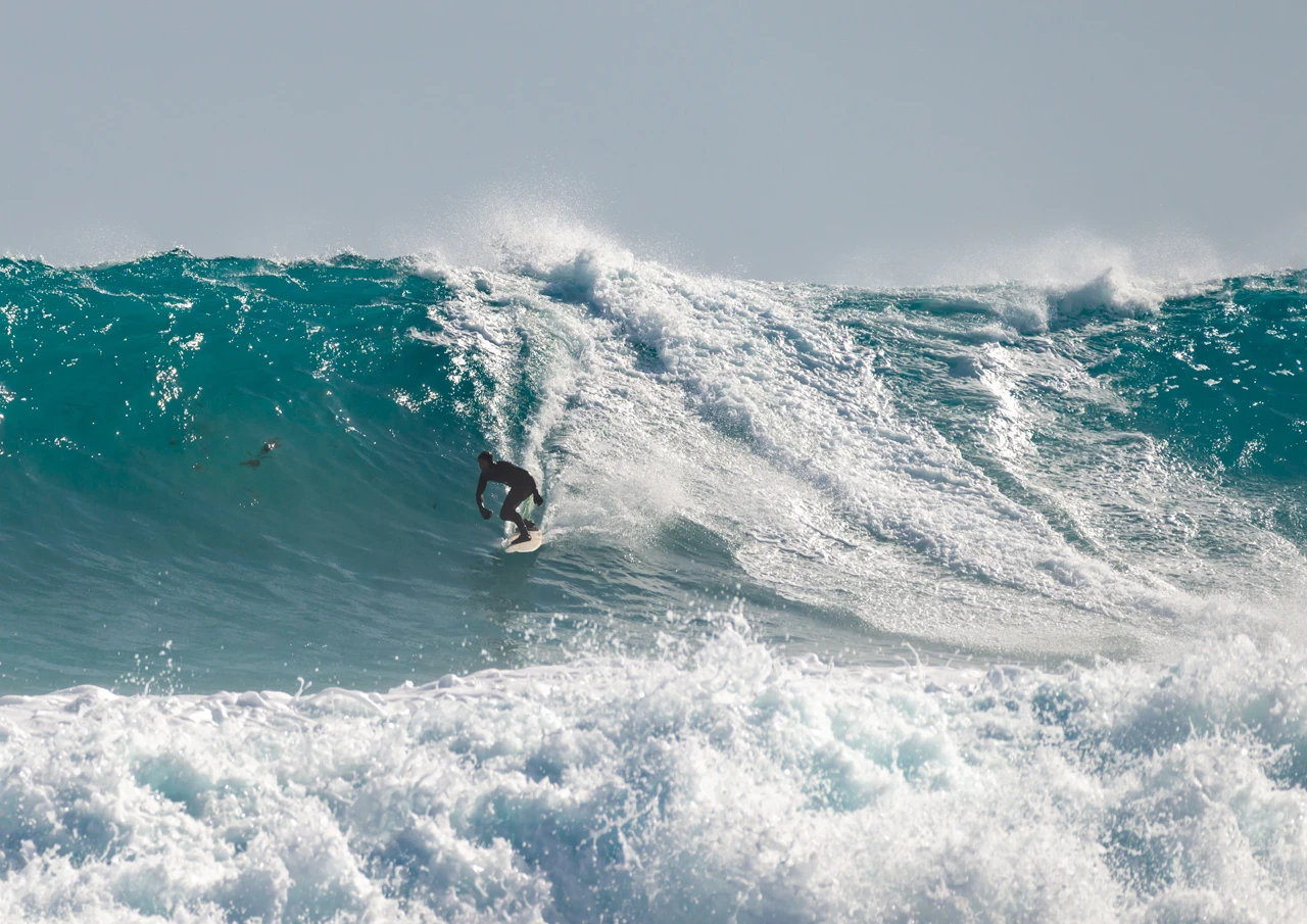 Huge waves to surf