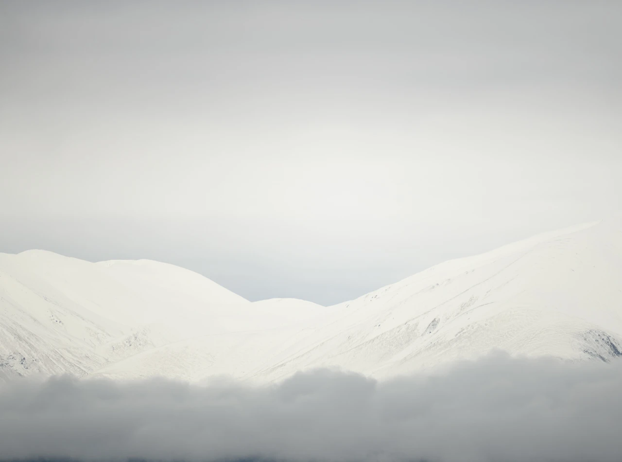 Foggy day in the mountains