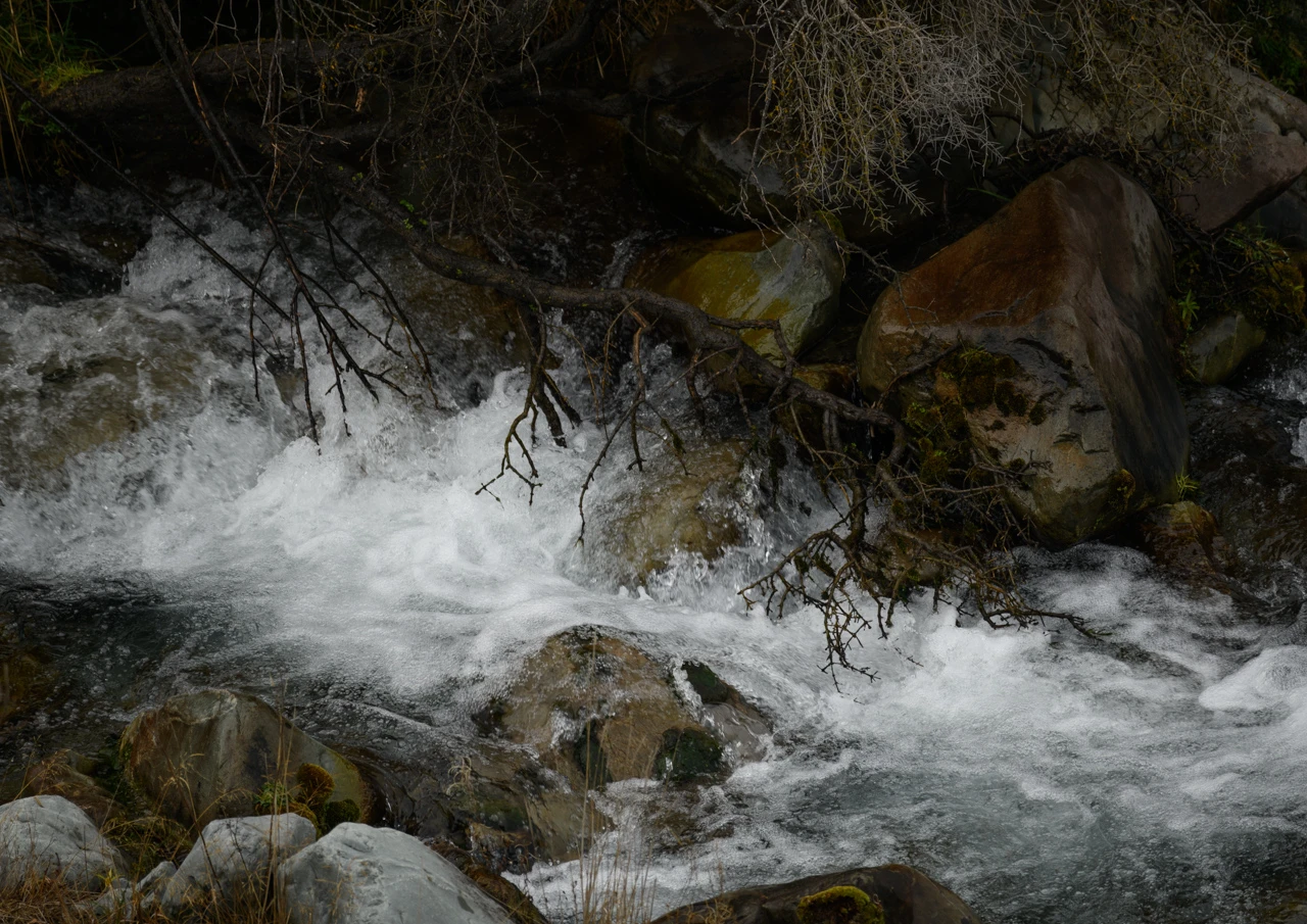 Cold mountain stream