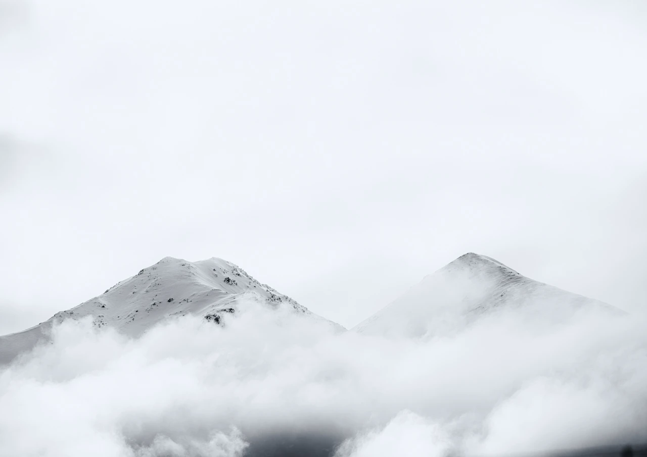 Fog at the base of Mt Potts