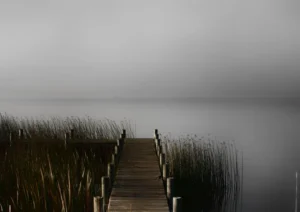 Reeds and old jetty Goolwa