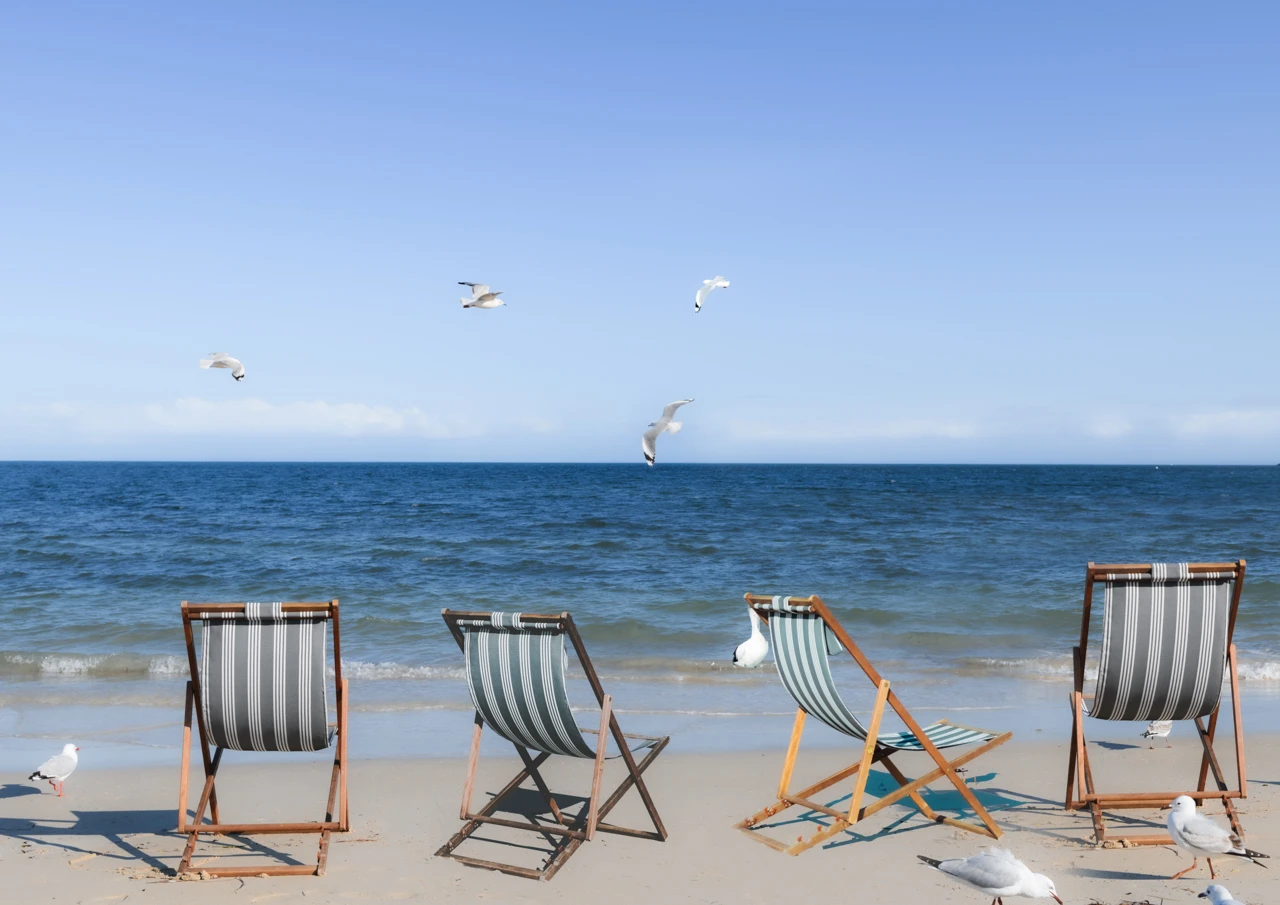 Sun chairs and sea birds