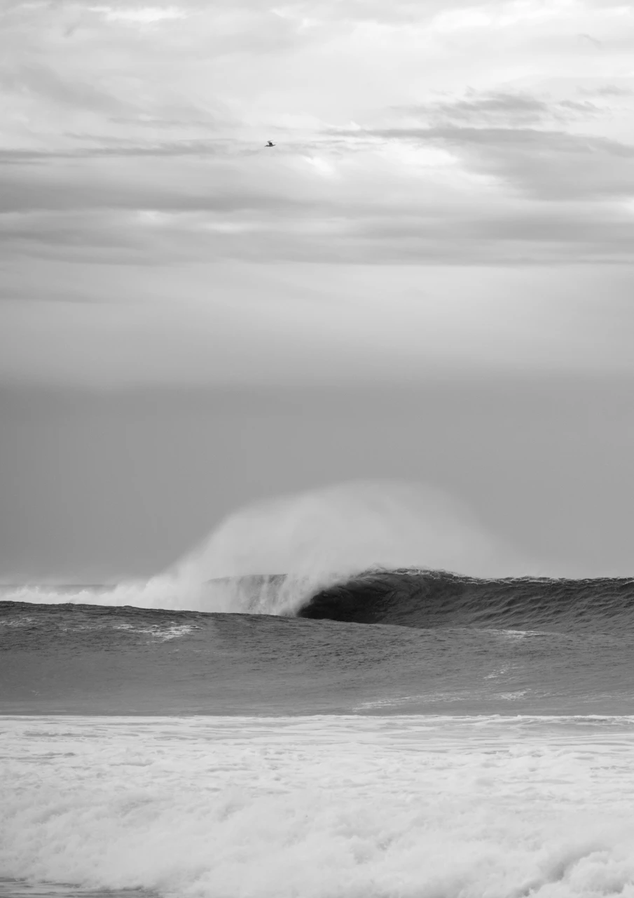 An amazing wave in black and white