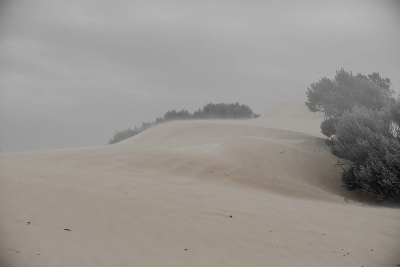 Dust storm on a sandy hill