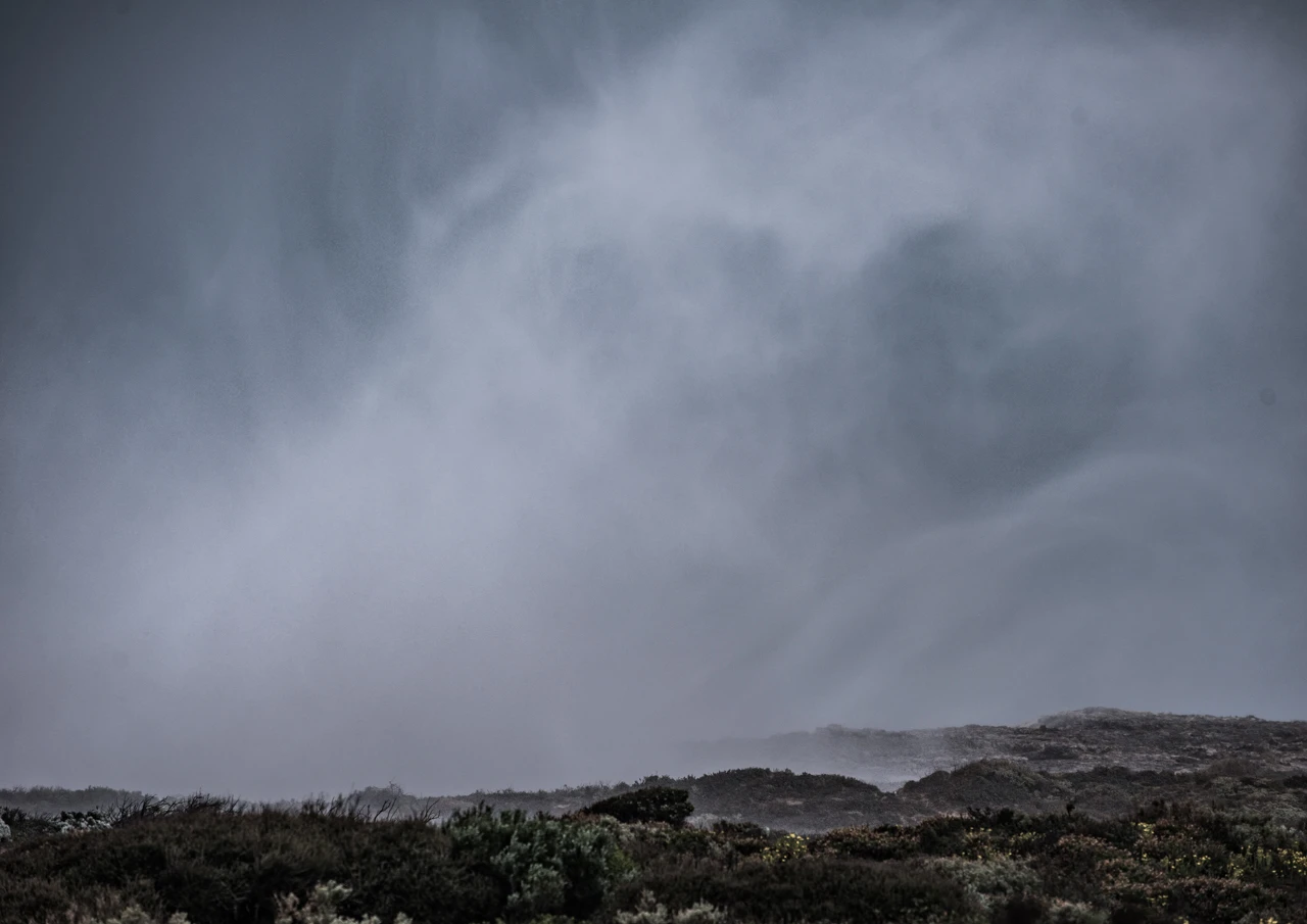 Mist and seaspray being windswept into the air