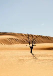 Copy of Namibia desert