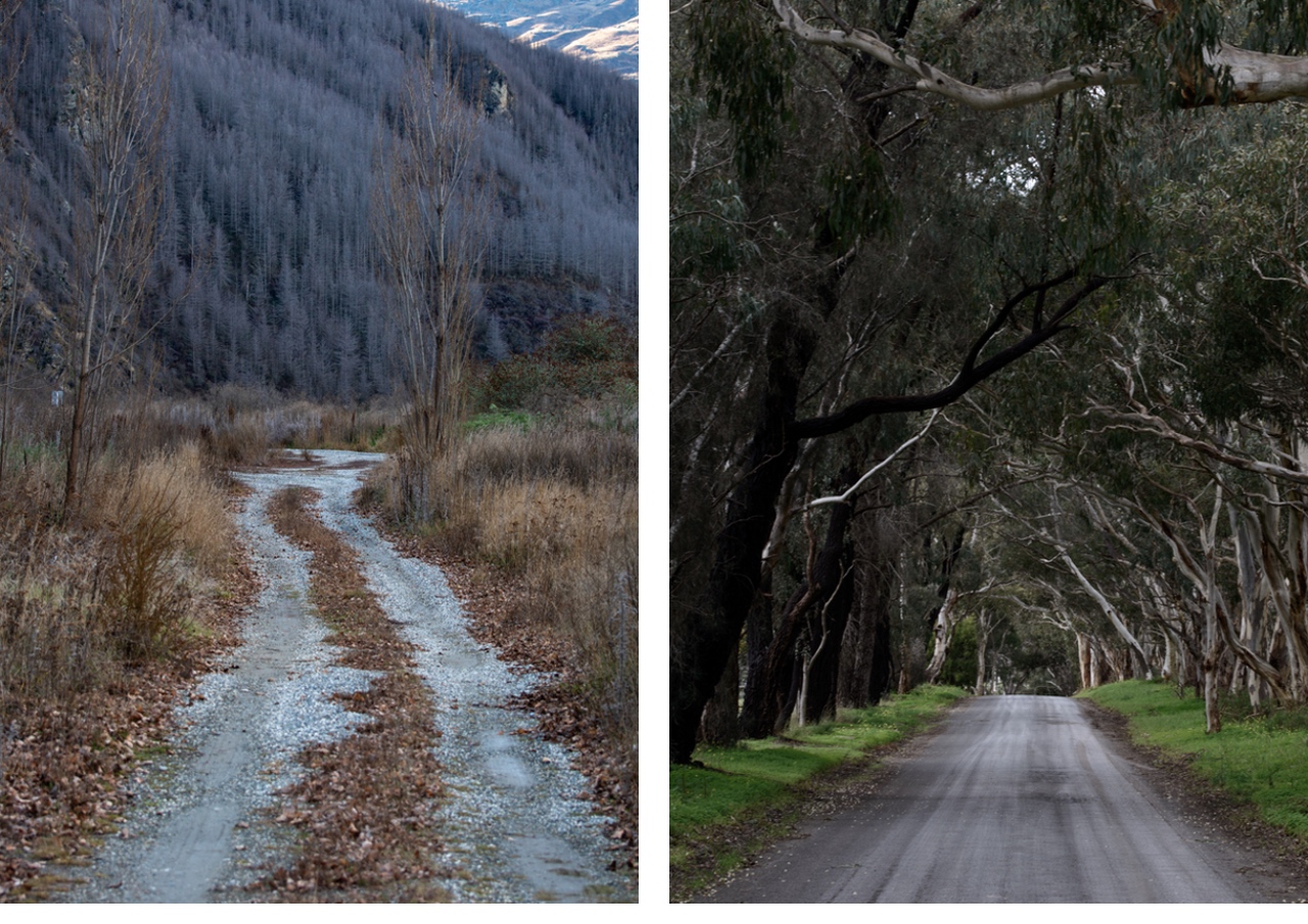 Photographers travel many roads