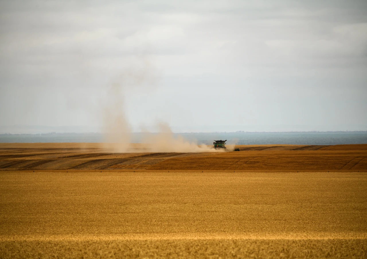 The dust from a distant wheat harvester