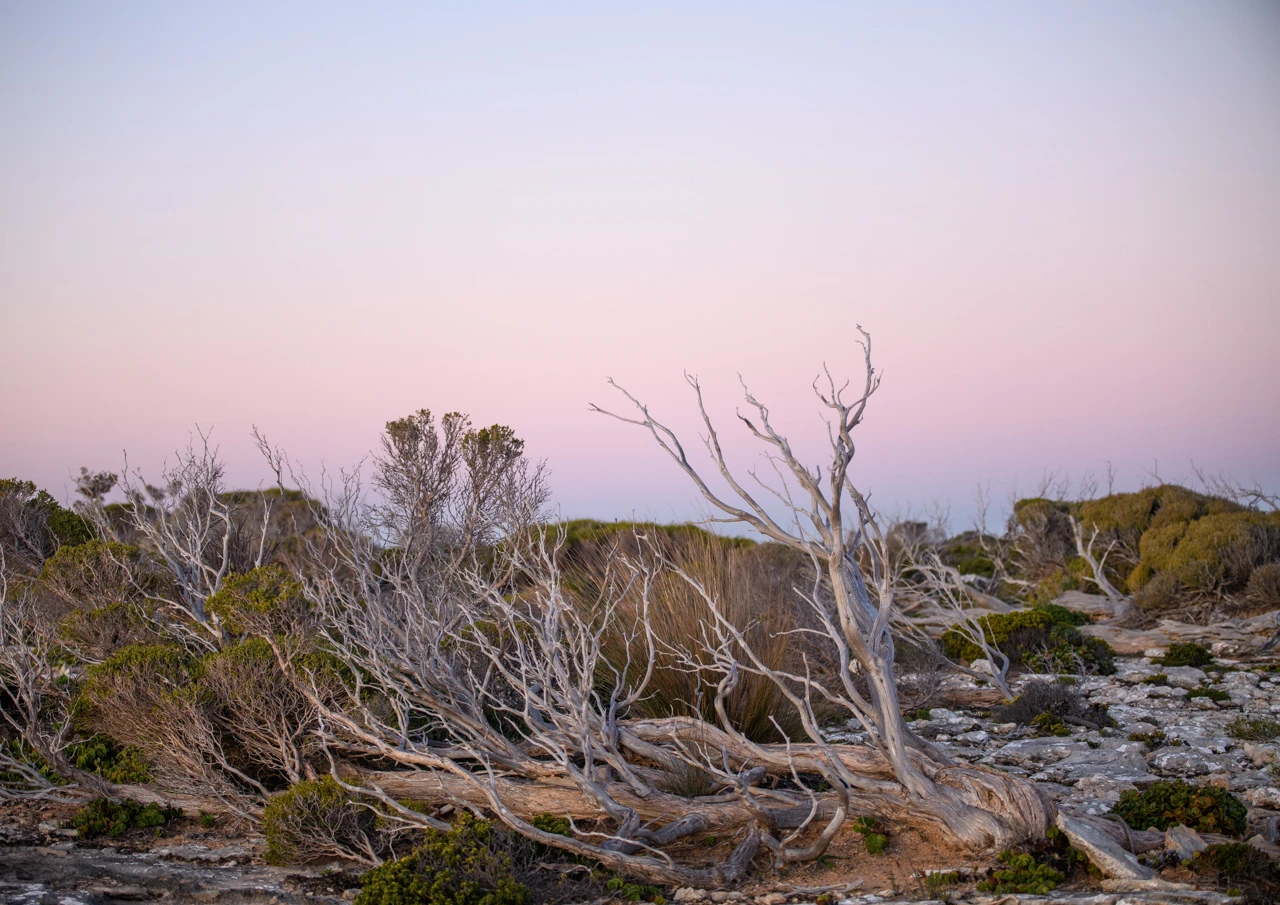 Rough terrain