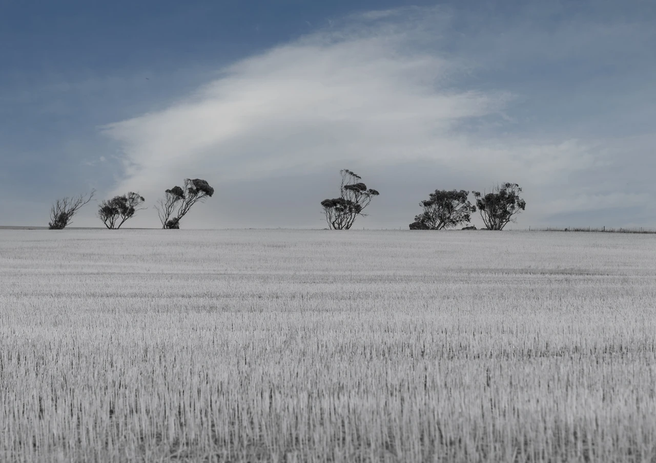 Sandhills and lone white cloud