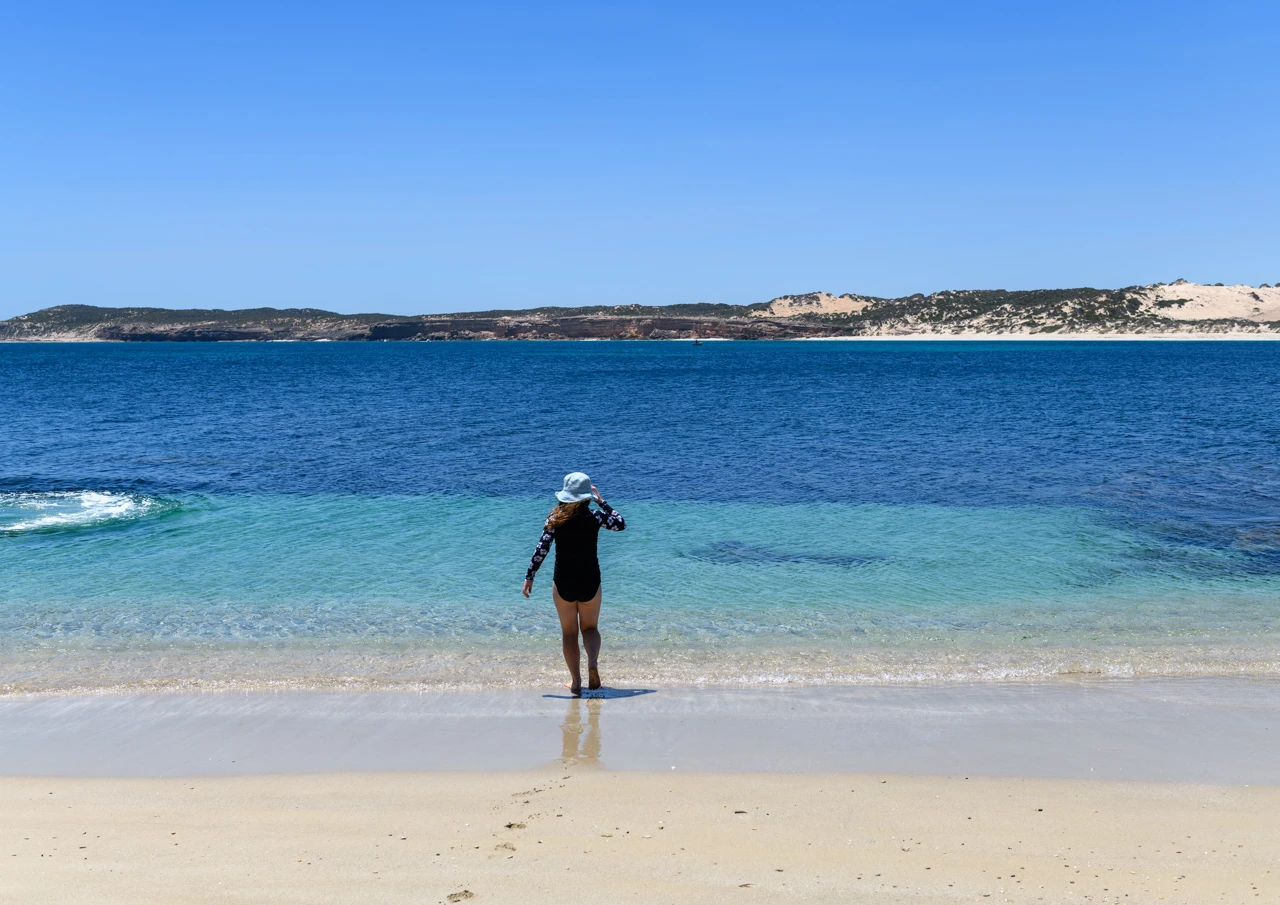 Walking in for a swim